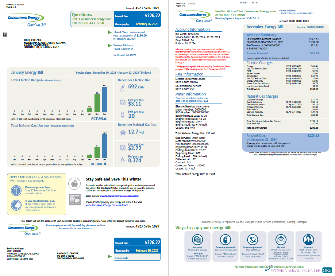 download USA Consumers Energy utility bill template in Word and PDF formats, 2 pages PDF template